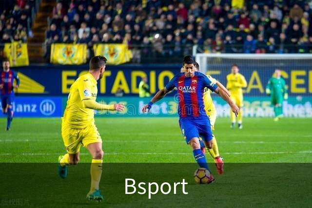 Bsport公司简介